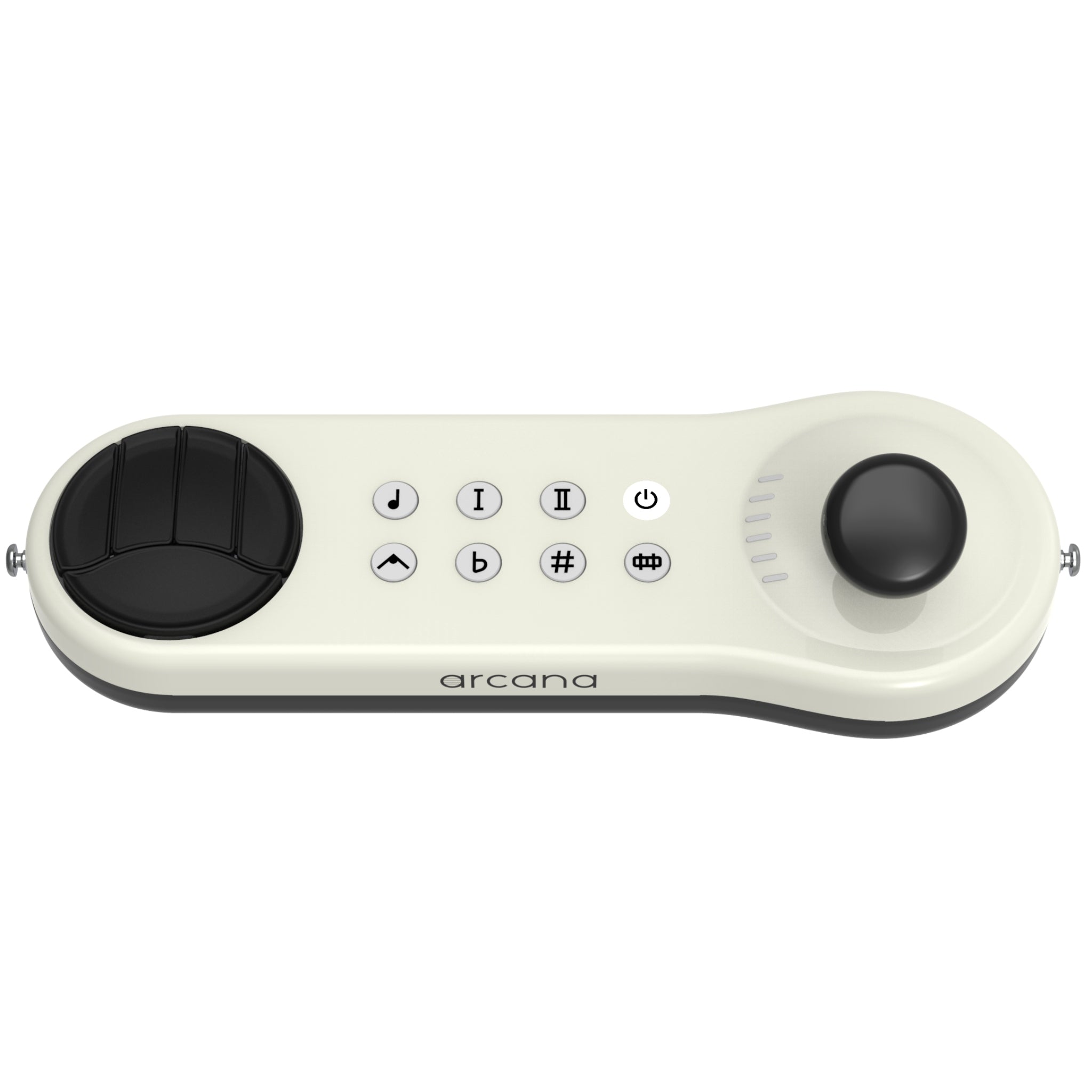 Arcana Strum Musical Instrument Assistive Technology for All Ages and Abilities