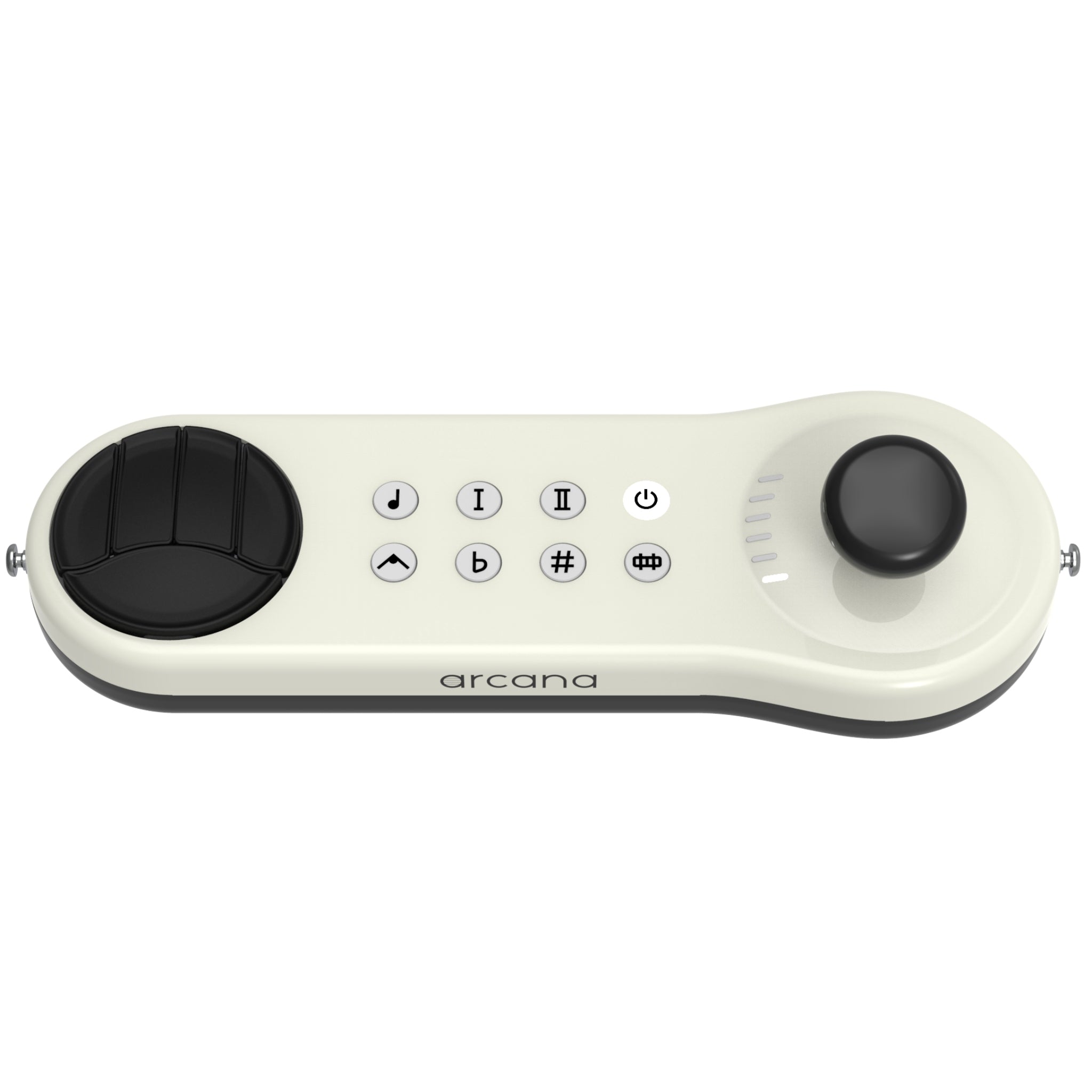 Arcana Strum Musical Instrument Assistive Technology for All Ages and Abilities
