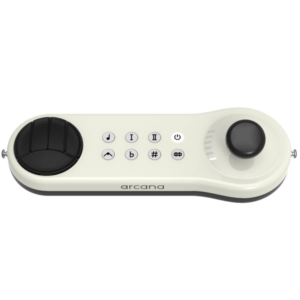 Arcana Strum Musical Instrument Assistive Technology for All Ages and Abilities
