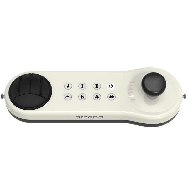 Arcana Strum Musical Instrument Assistive Technology for All Ages and Abilities