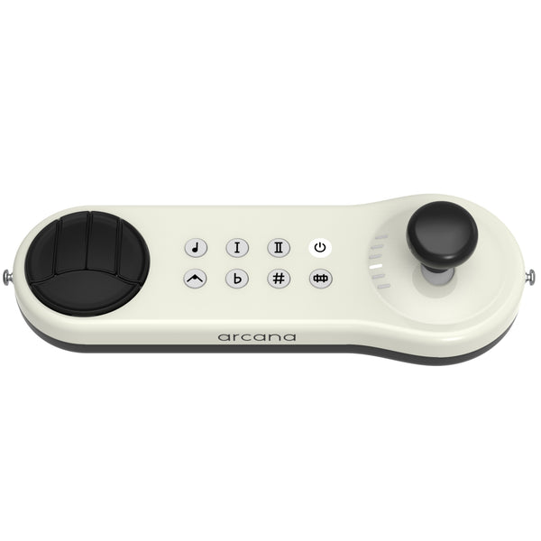 Arcana Strum Musical Instrument Assistive Technology for All Ages and Abilities