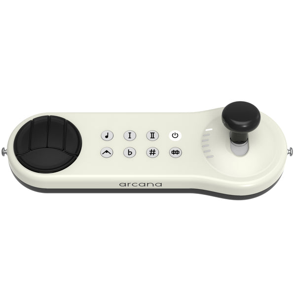 Arcana Strum Musical Instrument Assistive Technology for All Ages and Abilities