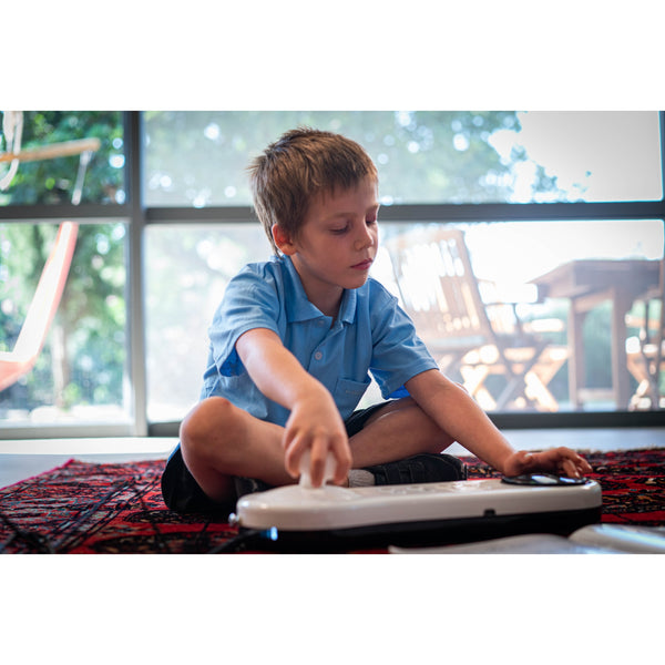Arcana Strum Musical Instrument Assistive Technology for All Ages and Abilities