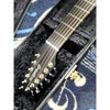 🔥 Breedlove USA MADE Oregon Dreadnought Concerto Stormy Night 12-String CE Myrtlewood-Myrtlewood CASE INCLUDED