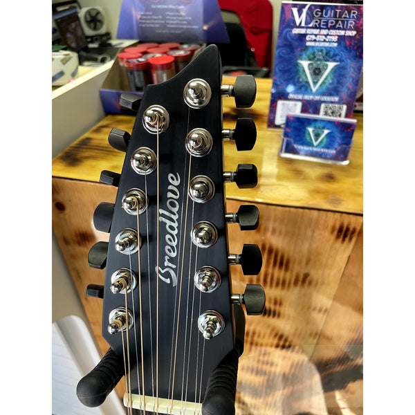 🔥 Breedlove USA MADE Oregon Dreadnought Concerto Stormy Night 12-String CE Myrtlewood-Myrtlewood CASE INCLUDED