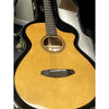 Breedlove Performer Pro Concertina (Parlor) CE — European Spruce / African Mahogany — Aged Toner