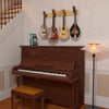 The Pro-File™ Wall-Mounted Ukulele & Mandolin Hanger