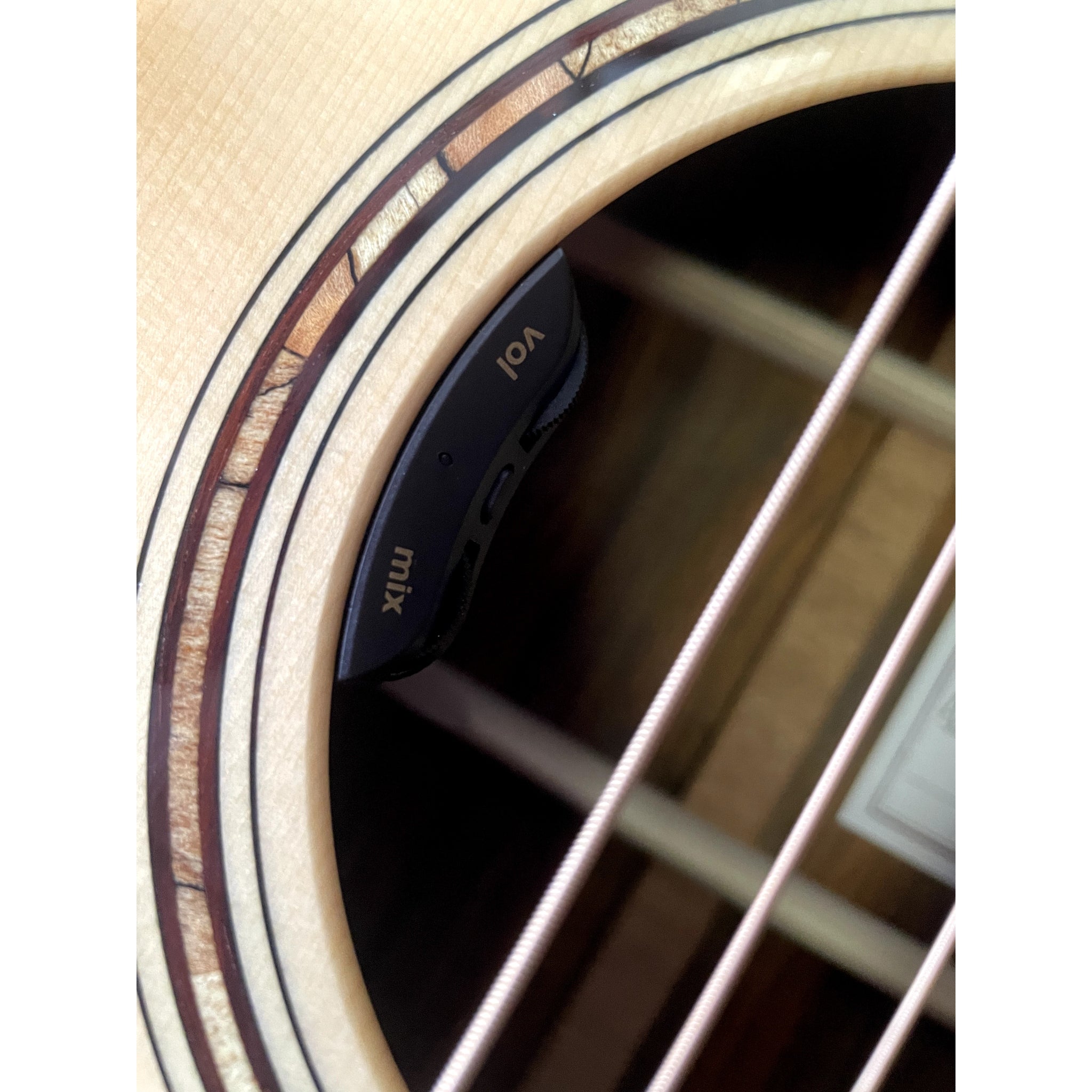 Bedell Revolution Dreadnought — Adirondack/Cocobolo w/ LR Baggs Anthem (#1223006)