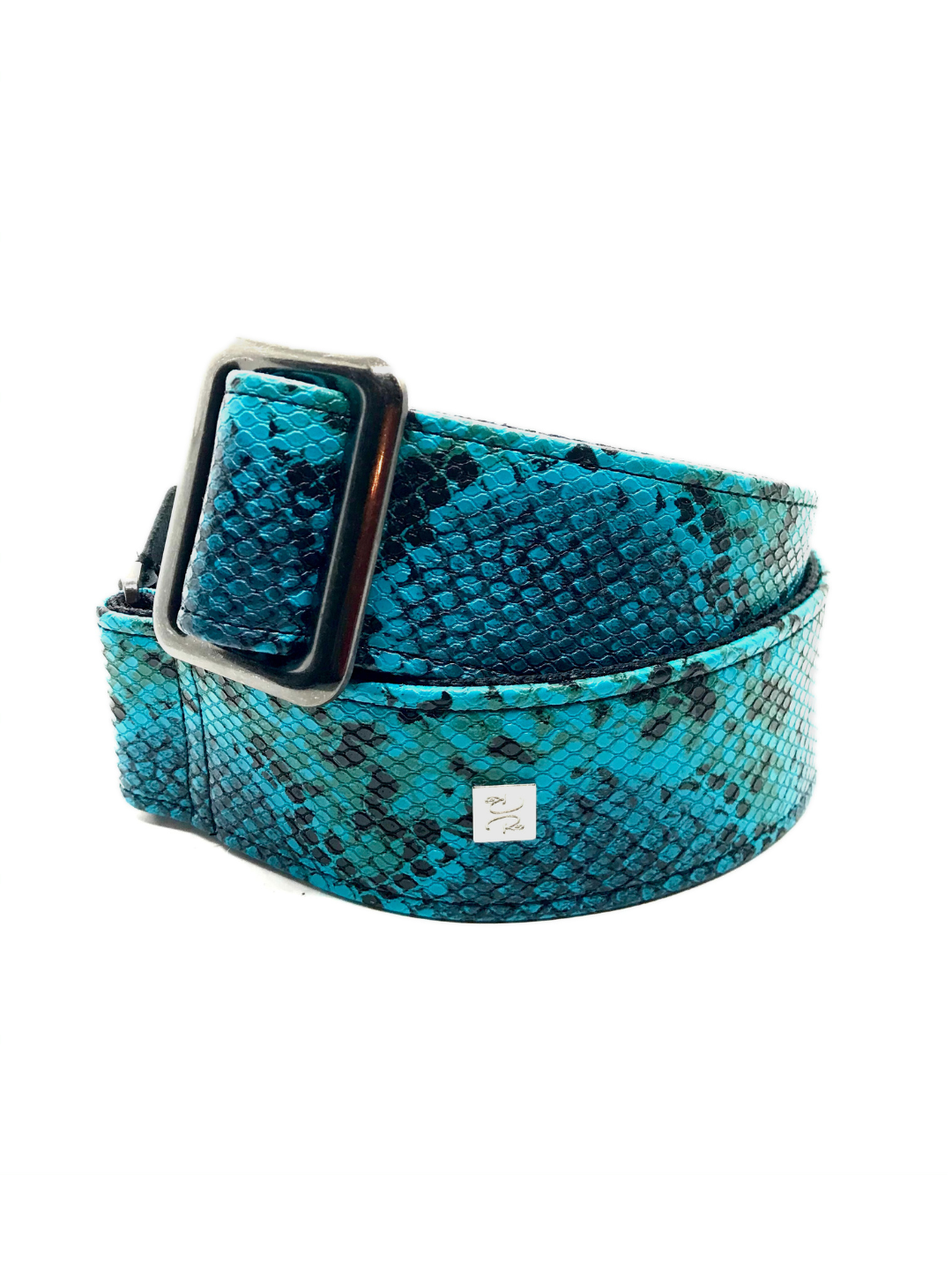 Turquoise Python 2