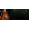 Breedlove Wildwood Pro Dreadnought Concerto Suede CE GIG BAG INCLUDED African Mahogany-African Mahogany