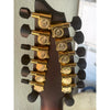 Breedlove Artista Pro Concert Burnt Amber 12 String CE European - Myrtlewood - El Cajon Guitars and Music