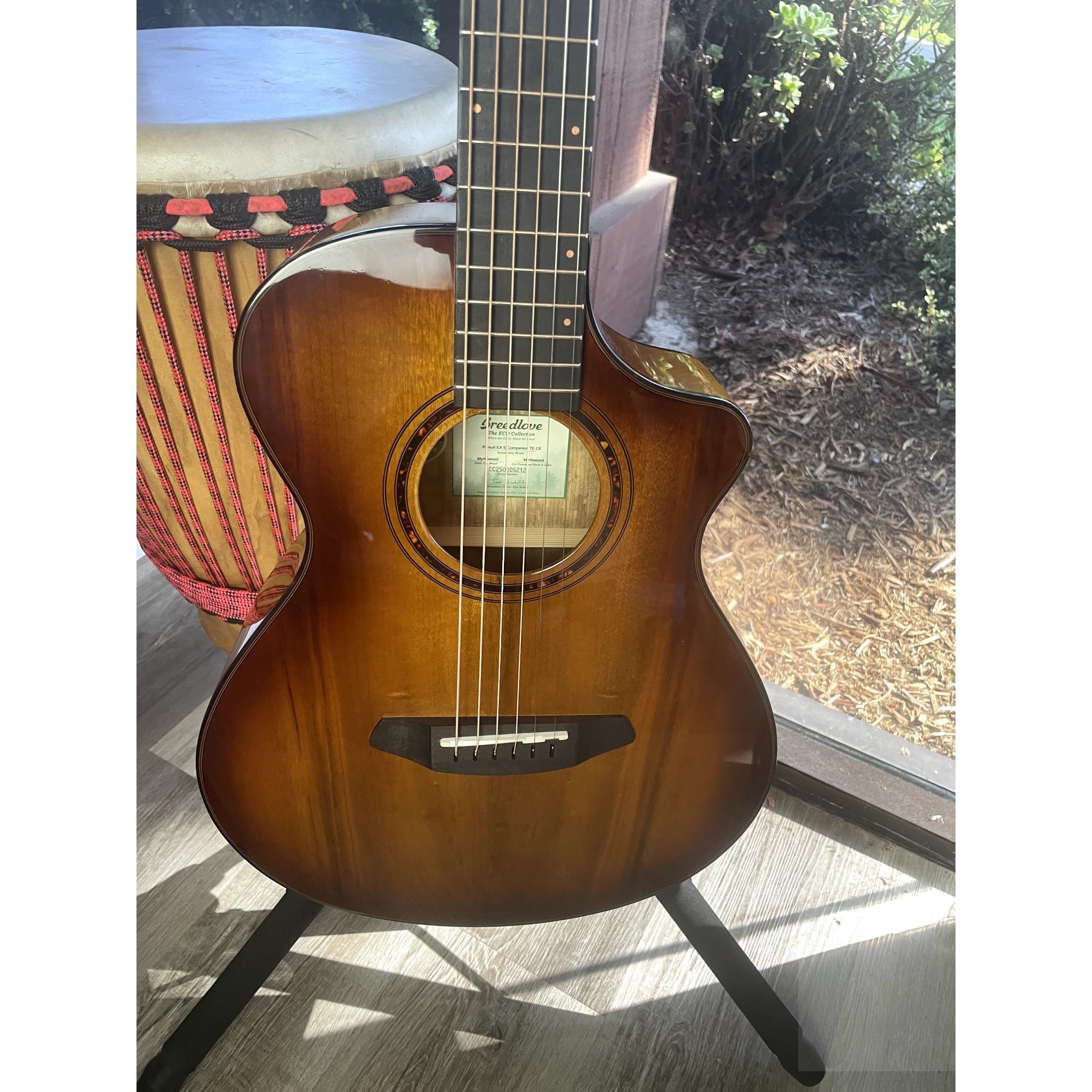 Breedlove B - STOCK Special Pursuit Exotic S Companion Tiger's Eye CE Myrtlewood - Myrtlewood - El Cajon Guitars and Music