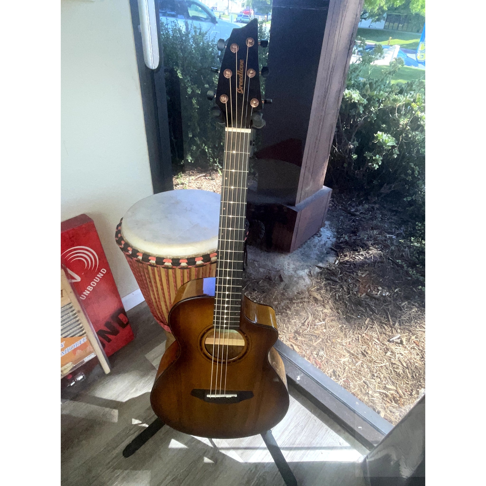 Breedlove B - STOCK Special Pursuit Exotic S Companion Tiger's Eye CE Myrtlewood - Myrtlewood - El Cajon Guitars and Music