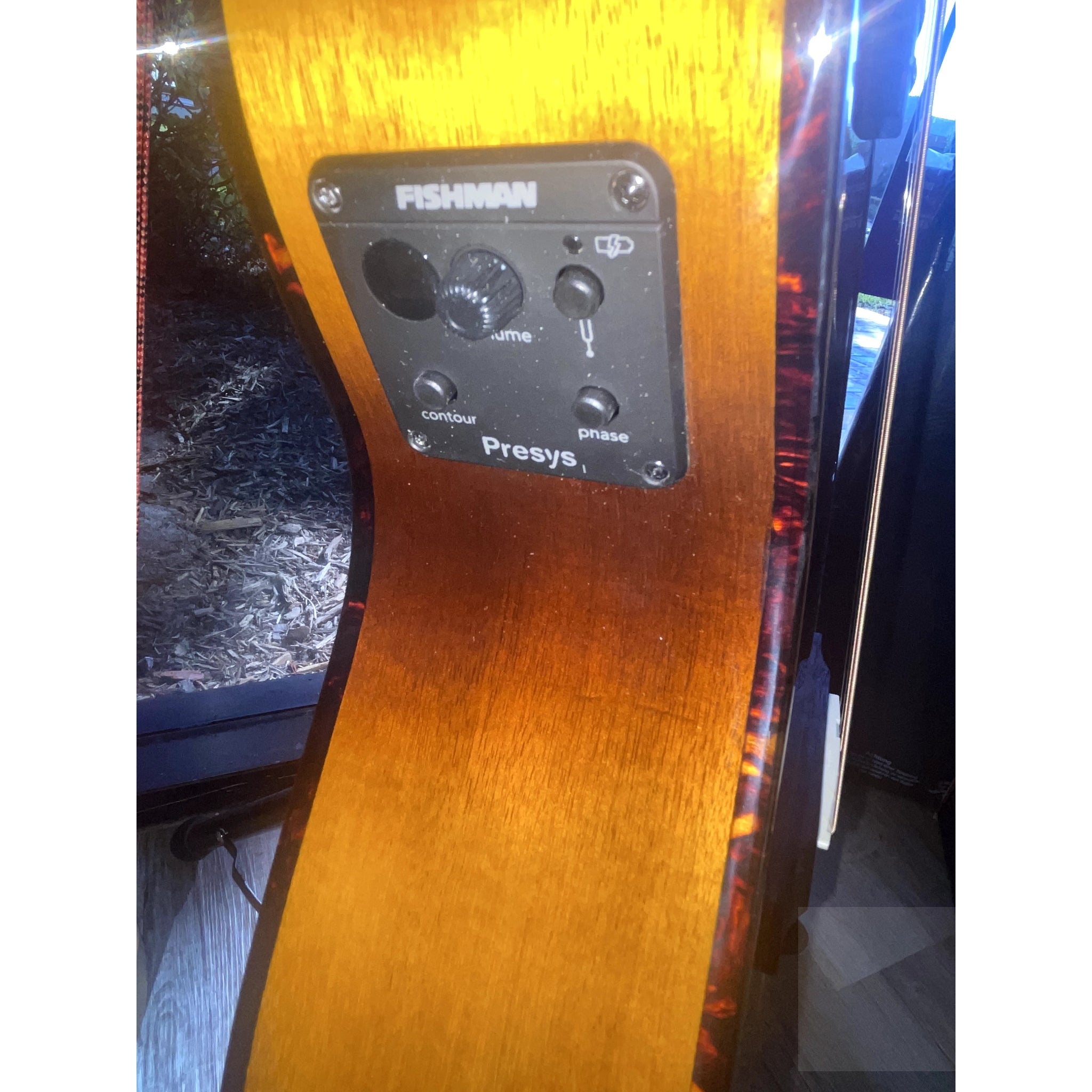 Breedlove B - STOCK Special Pursuit Exotic S Companion Tiger's Eye CE Myrtlewood - Myrtlewood - El Cajon Guitars and Music