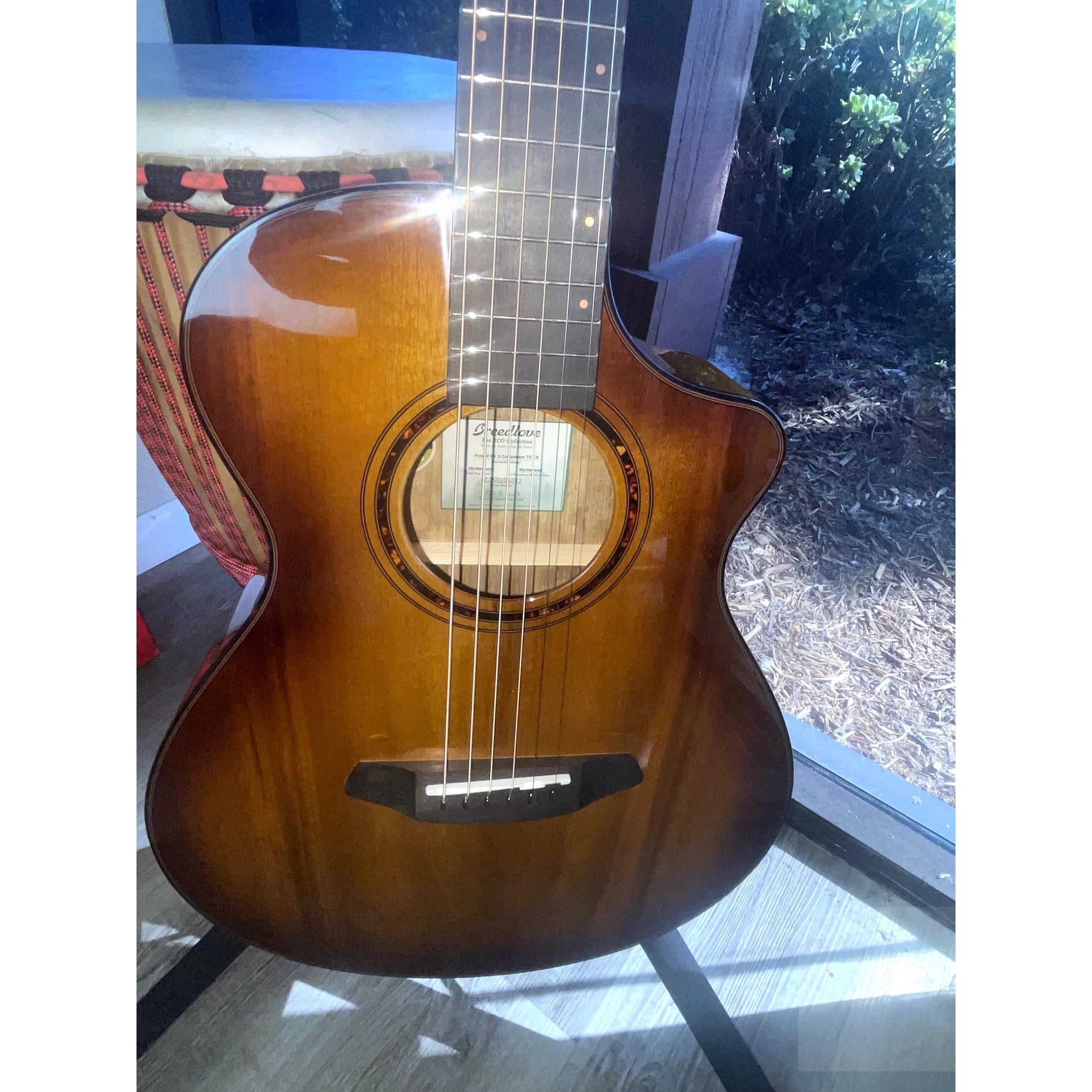 Breedlove B - STOCK Special Pursuit Exotic S Companion Tiger's Eye CE Myrtlewood - Myrtlewood - El Cajon Guitars and Music