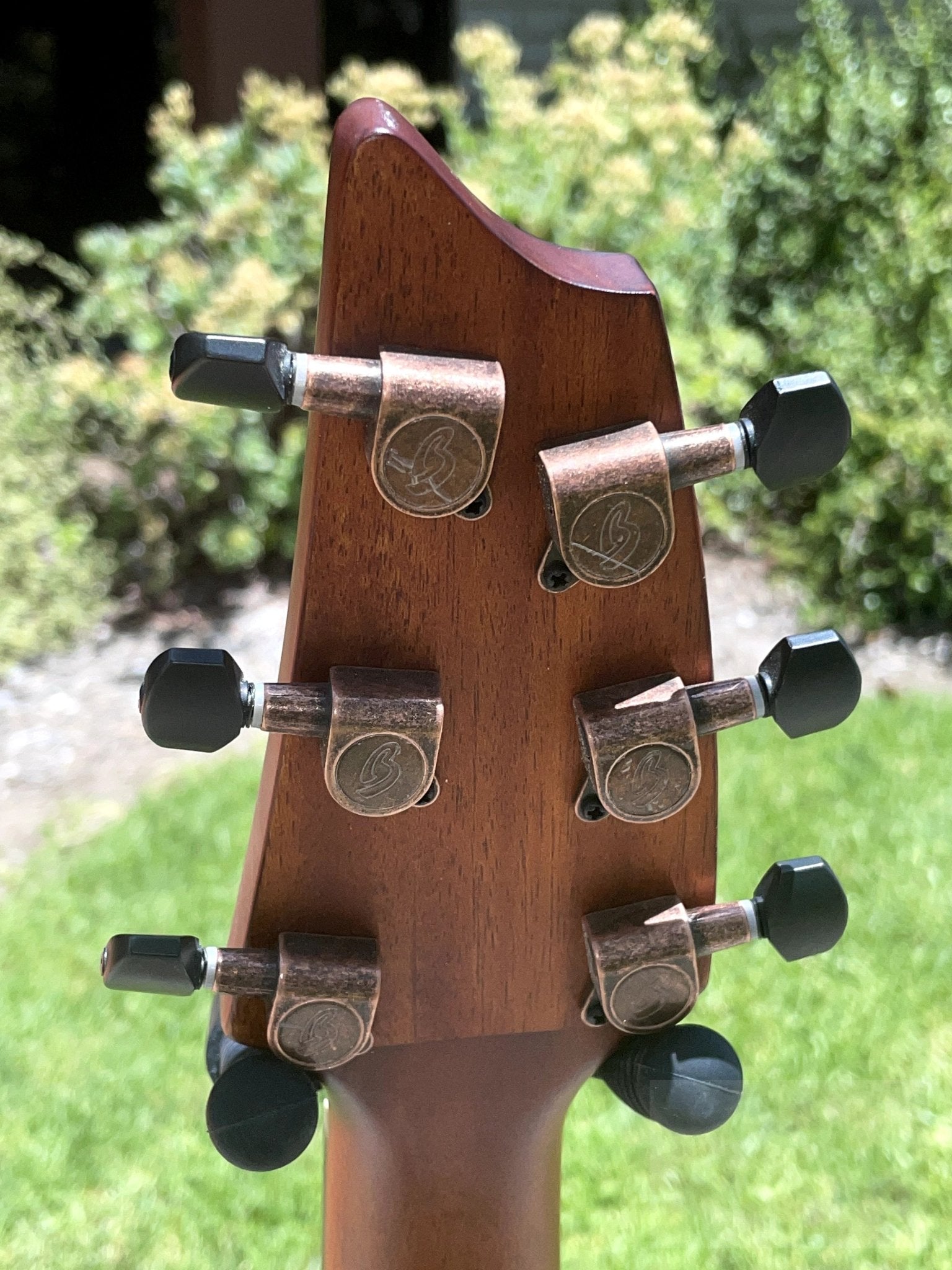 Breedlove Pursuit Exotic S Concert Edgeburst CE Koa - Koa - B - STOCK SPECIAL BUY - El Cajon Guitars and Music