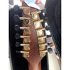 Breedlove Solo Pro Concert Edgeburst 12 String CE Red Cedar - African Mahogany - El Cajon Guitars and Music