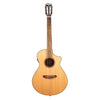 Discovery S Concert Nylon CE Red Cedar - African mahogany - El Cajon Guitars and Music