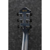 Ibanez AEWC400 - El Cajon Guitars and Music