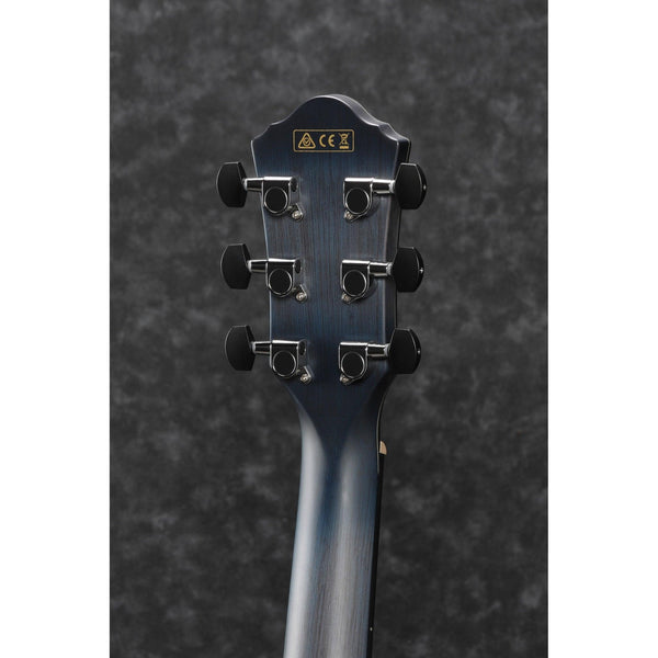 Ibanez AEWC400 - El Cajon Guitars and Music