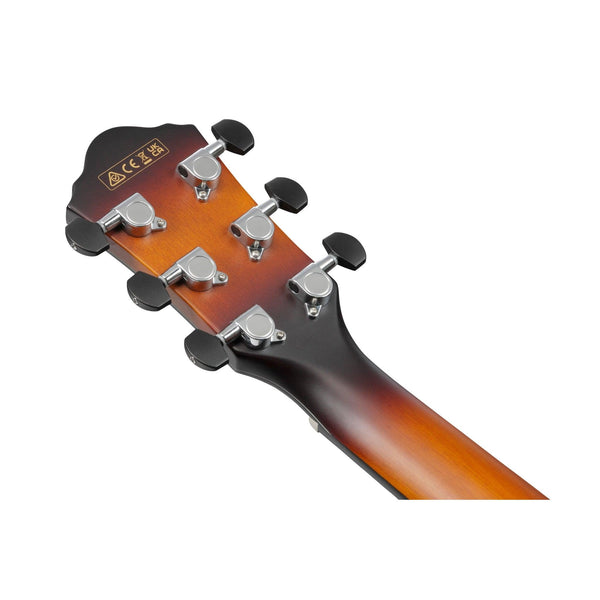 Ibanez AEWC400 - El Cajon Guitars and Music