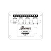 Ibanez AEWC400 - El Cajon Guitars and Music