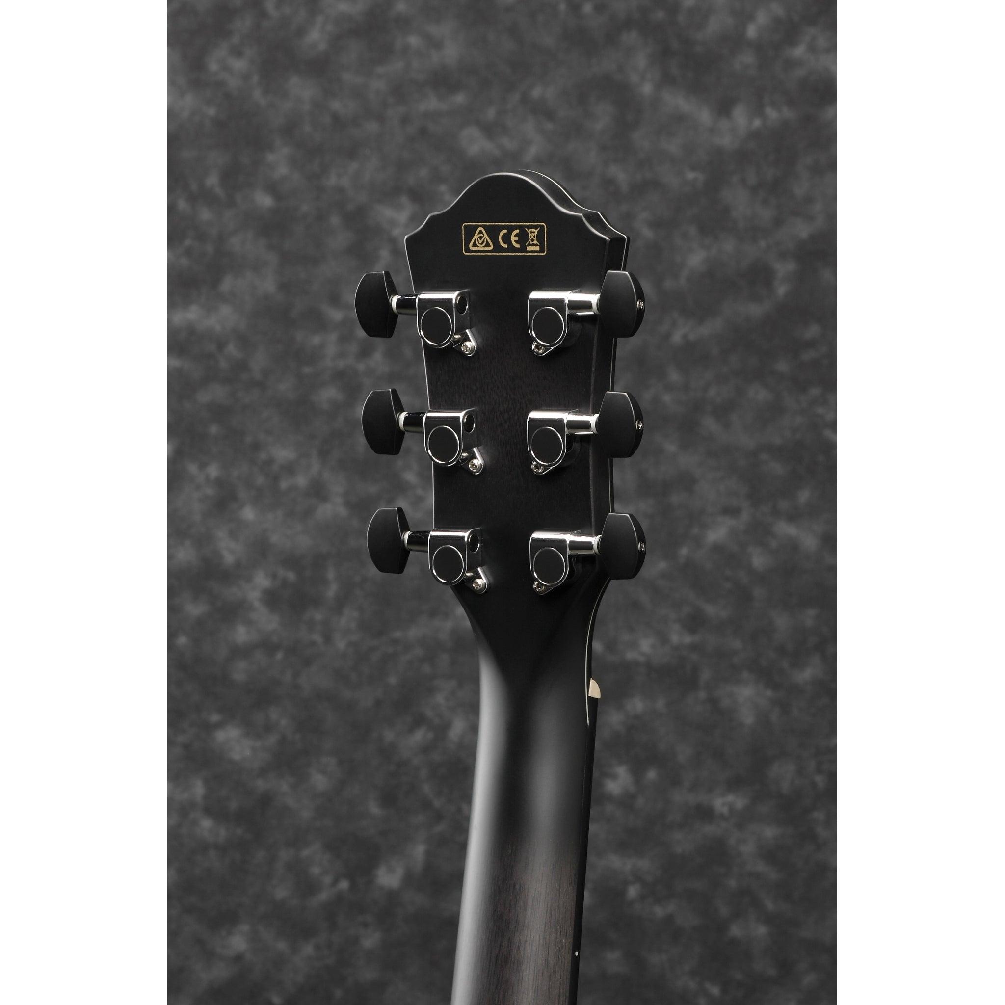 Ibanez AEWC400 - El Cajon Guitars and Music