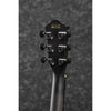 Ibanez AEWC400 - El Cajon Guitars and Music