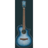 Ibanez AEWC400 - El Cajon Guitars and Music