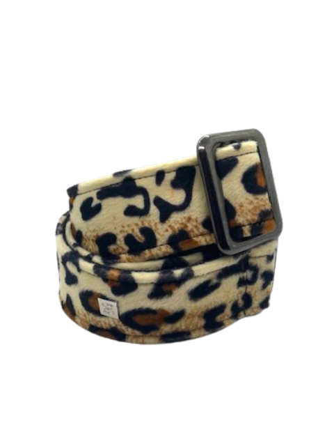 Light Leopard 2