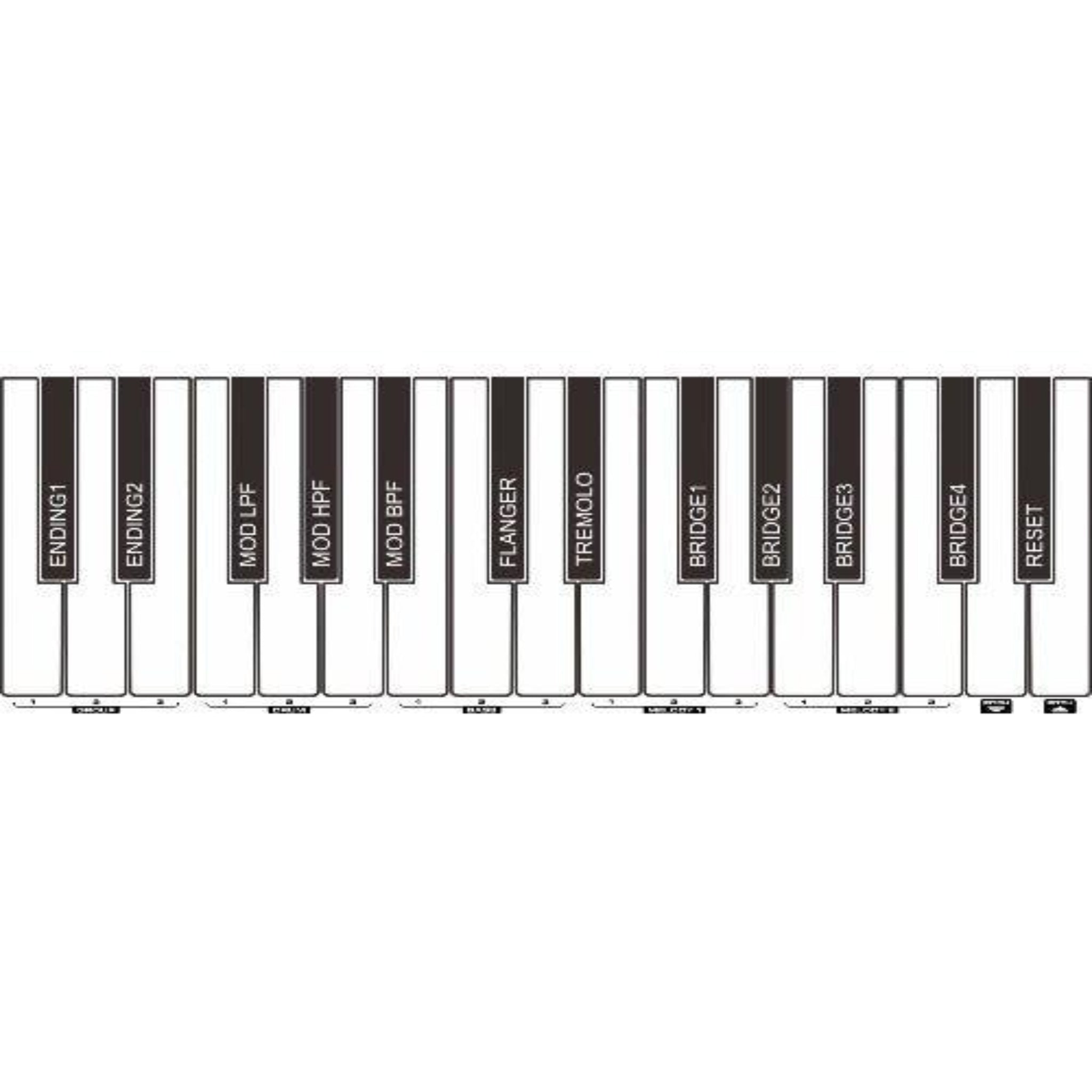 NUX NEK - 100 Digital Keyboard, 61 Keys with Touch Response,Rechargeable Battery - El Cajon Guitars and Music