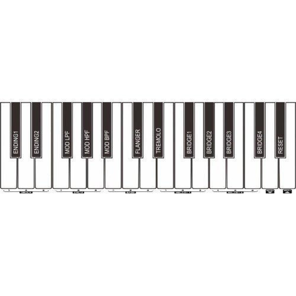 NUX NEK - 100 Digital Keyboard, 61 Keys with Touch Response,Rechargeable Battery - El Cajon Guitars and Music