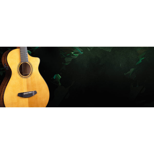 Performer Pro Parlor Concertina Aged Toner CE European - African Mahogany Hardshell Case Included - El Cajon Guitars and Music