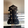 Recording King RM - 997 - VG Swamp Dog Metal Body Resonator Style - 0 Distressed Vintage Green - El Cajon Guitars and Music