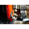 Studioflex True Fidelity INSTRUMENT 20FT / 6M True Fidelity w/24K INST CABLE - El Cajon Guitars and Music