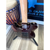Tagima Grace 700 Honey Burst with Rosewood Fretboard - El Cajon Guitars and Music