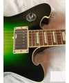 Wild Customs Electric Guitar Baroness Green Burst