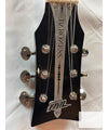 Wild Customs Electric Guitar Baroness Green Burst