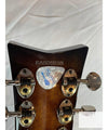 Wild Customs Electric Guitar Baroness Green Burst