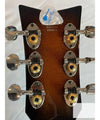 Wild Customs Electric Guitar Baroness Green Burst
