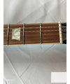 Wild Customs Electric Guitar Baroness Green Burst