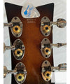 Wild Customs Electric Guitar Baroness Green Burst