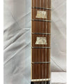 Wild Customs Electric Guitar Baroness Green Burst