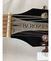 Wild Customs Electric Guitar Baroness Green Burst