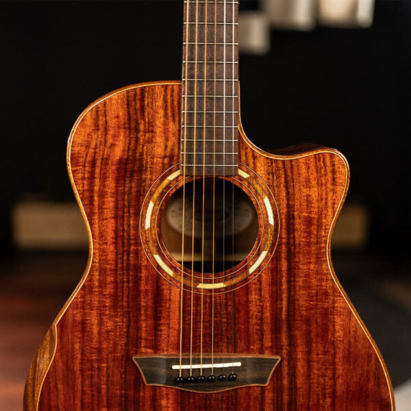 Washburn Acoustic Guitars