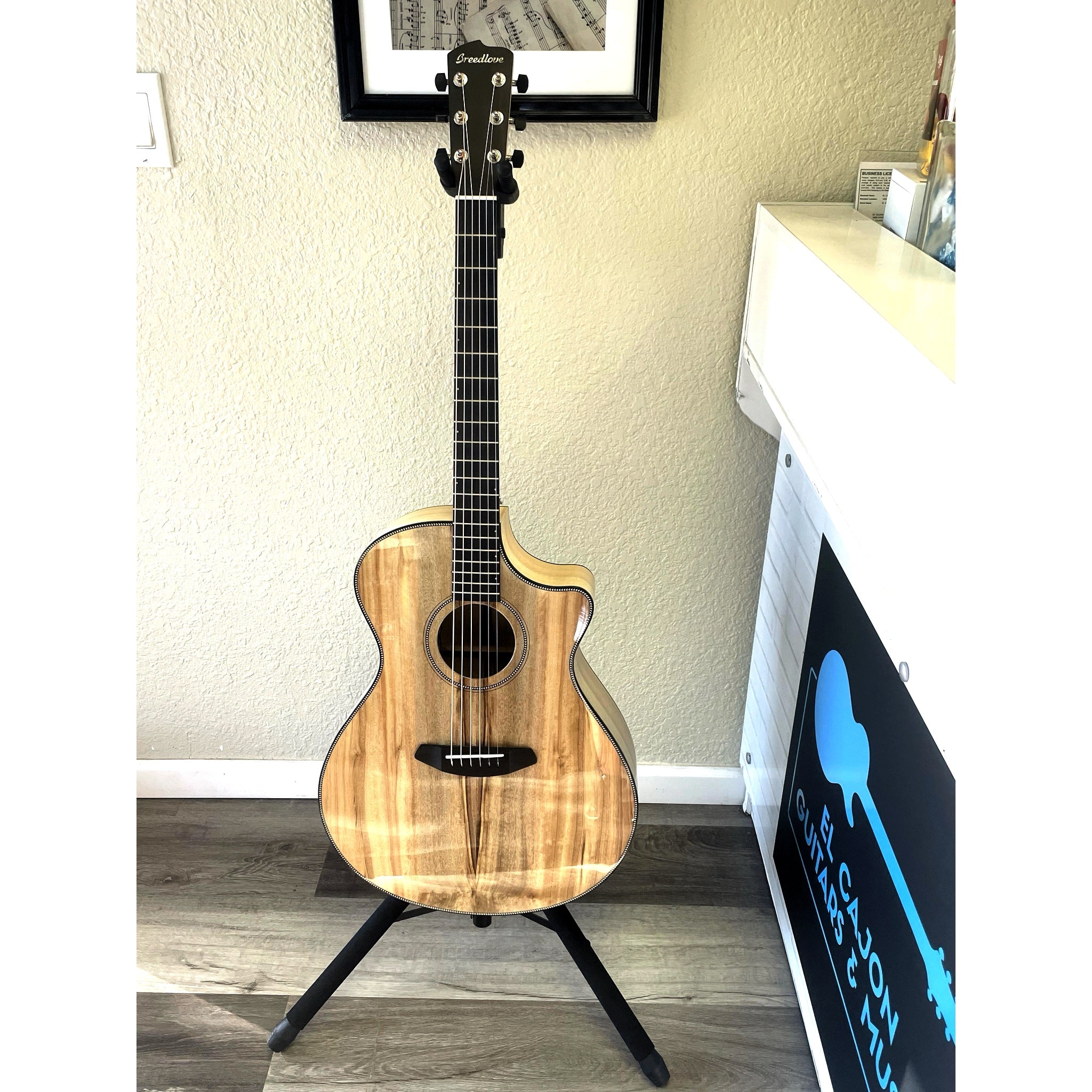 Full Breedlove Oregon Myrtlewood Dreadnought Concerto CE displayed at the ECG Music showroom counter and entryway – natural light - serial 30844