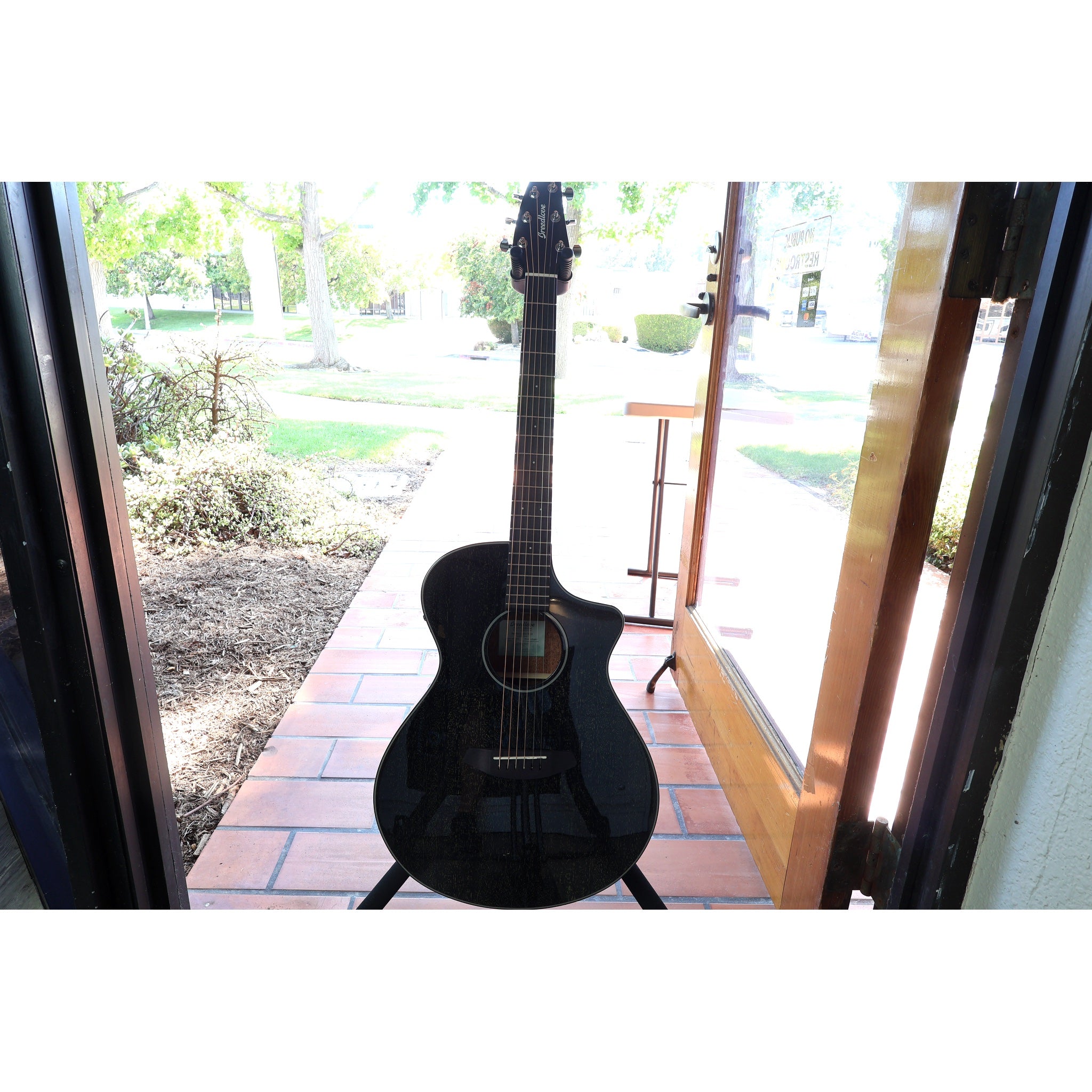 Breedlove Rainforest S Concert Black Gold CE – African Mahogany