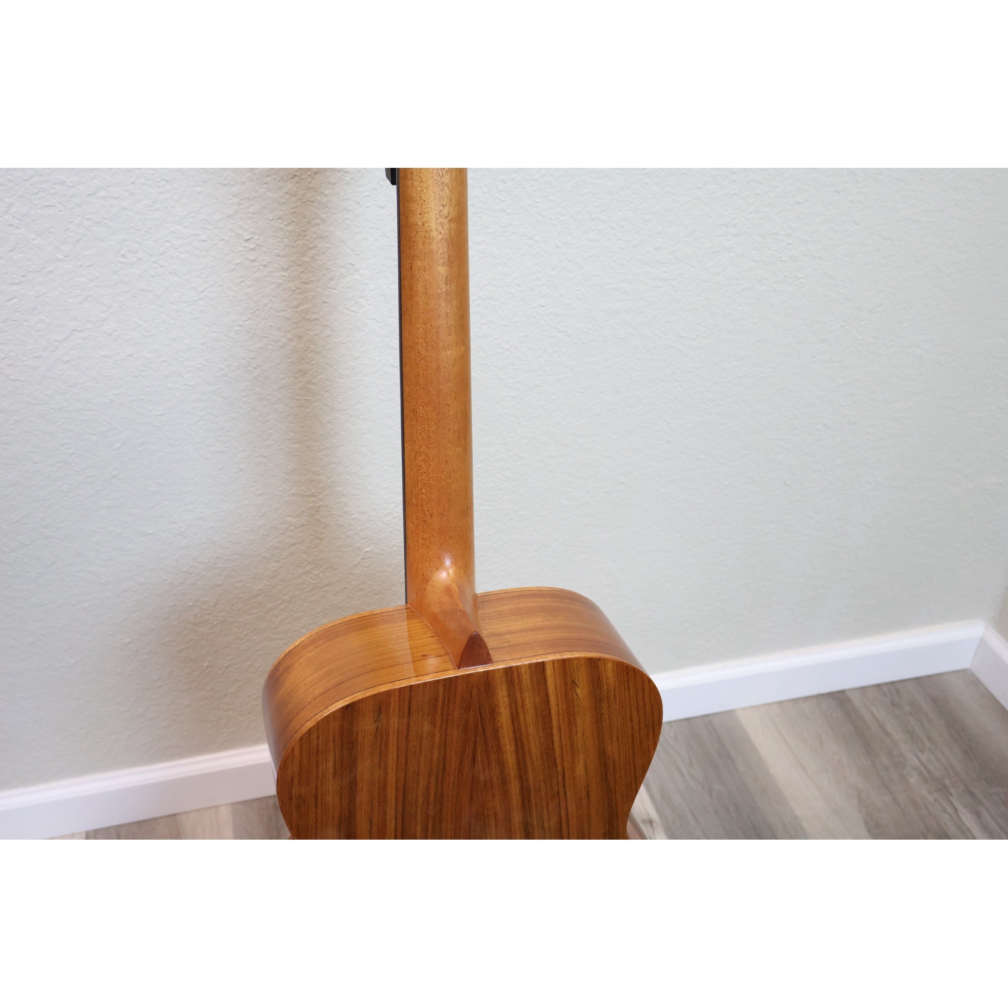 Teton STG110NT mahogany neck heel and ovangkol back
