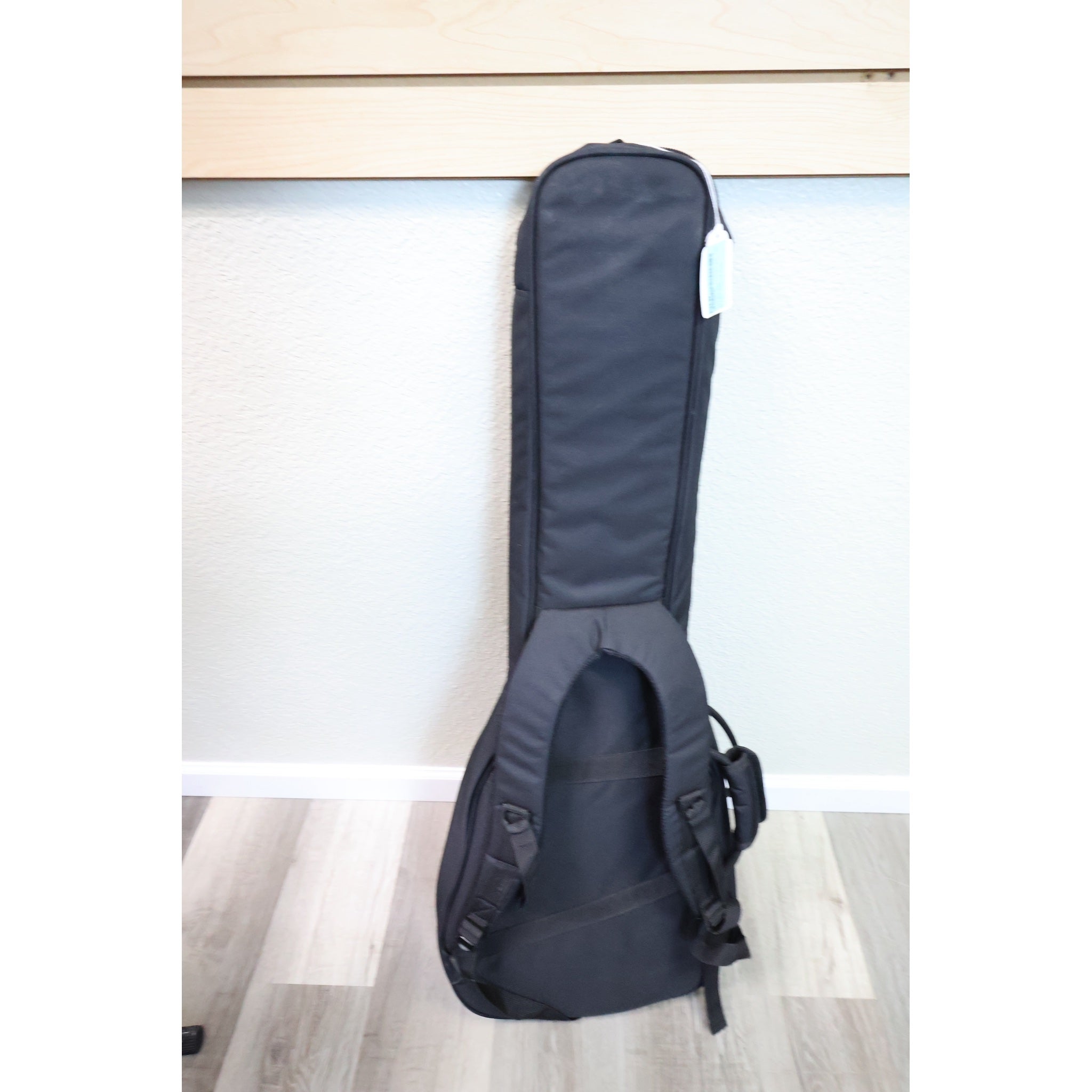 D'Angelico gig bag back with backpack straps