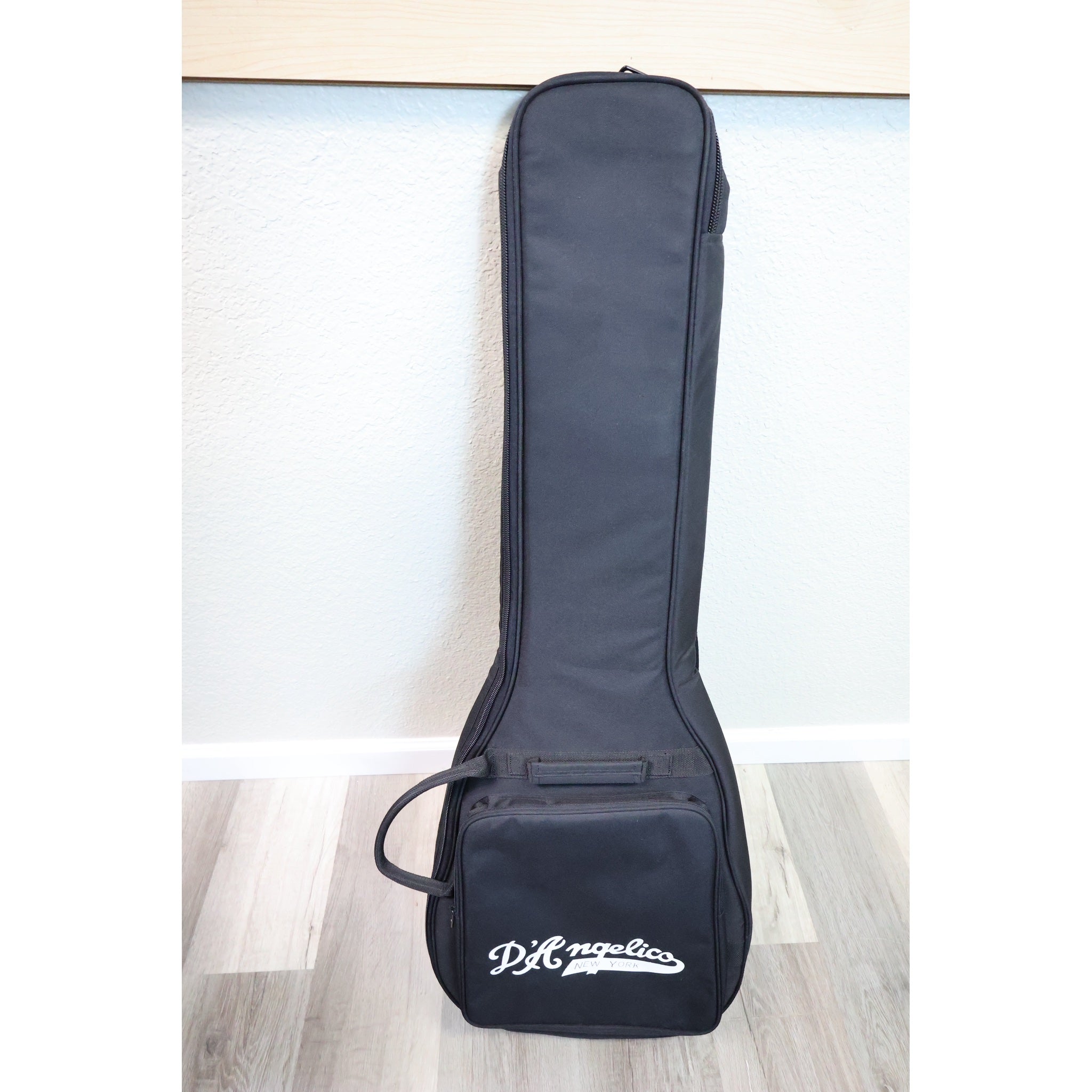 D'Angelico gig bag, full front view